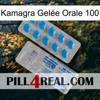 Kamagra Gelée Orale 100 new15